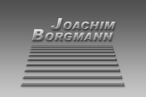 Logo_Borgmann.jpg