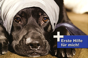 Logo_Tierarzt.jpg